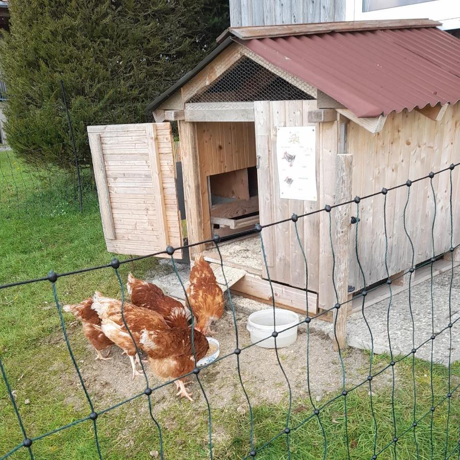 Andreashof Vila Heimenkirch Exterior foto